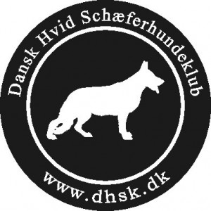 Dhsk logo